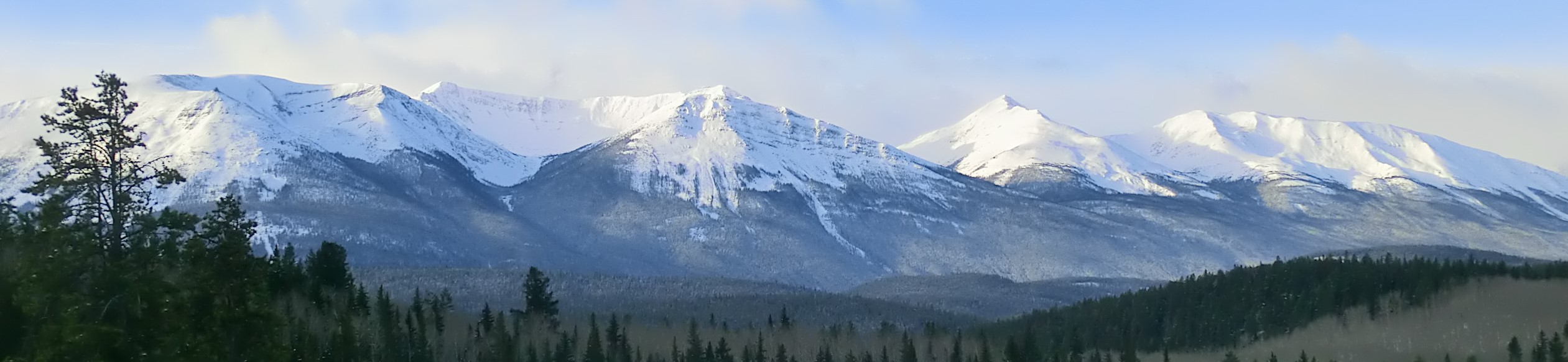 snow-capped mountains in the winter on a sunny day with blue skies, some clouds behind them, and tree-covered foothills in the foreground