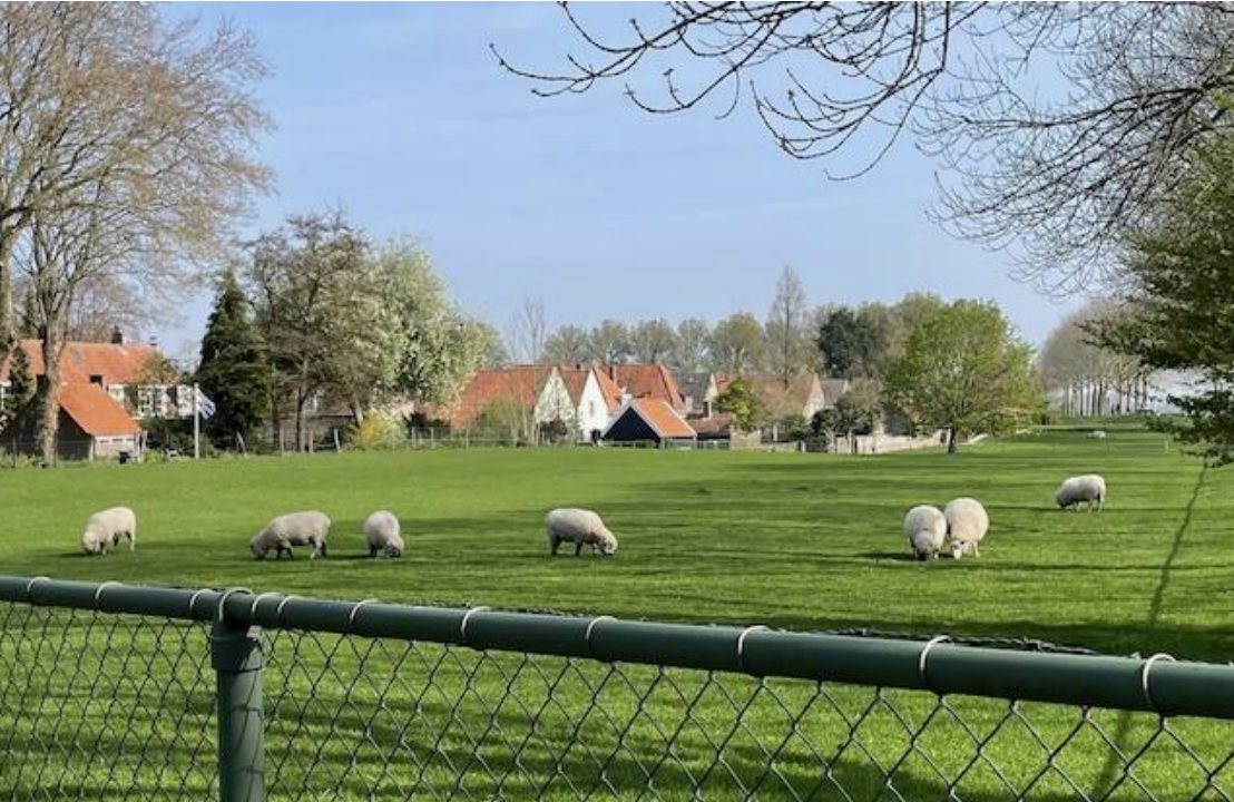 Three Travelers on the road